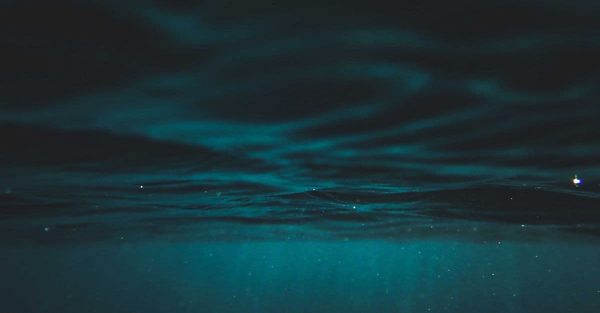 We have sharper maps of Mars than of most of Earth’s deep ocean floor, and the little of it we have reached rewrote biology: in 1977 a submersible found thriving life around hot v…
