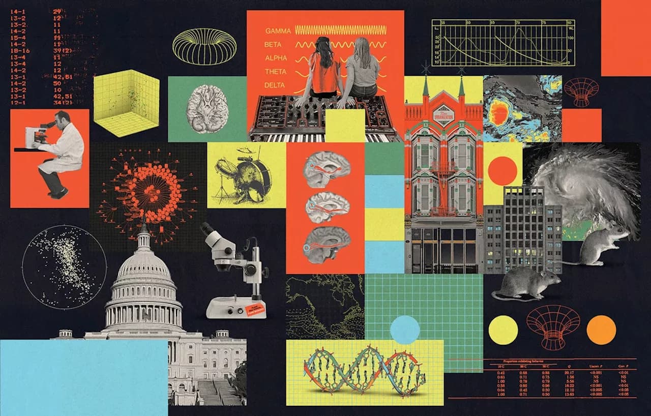 Norbert Holtkamp on the promise of basic science and why curiosity matters