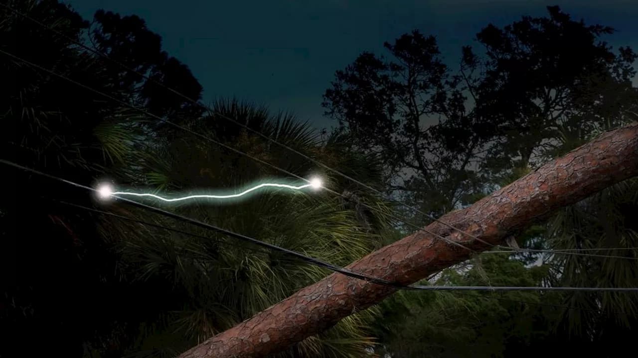 US scientists unveil smart grid tool to stop wildfires and blackouts