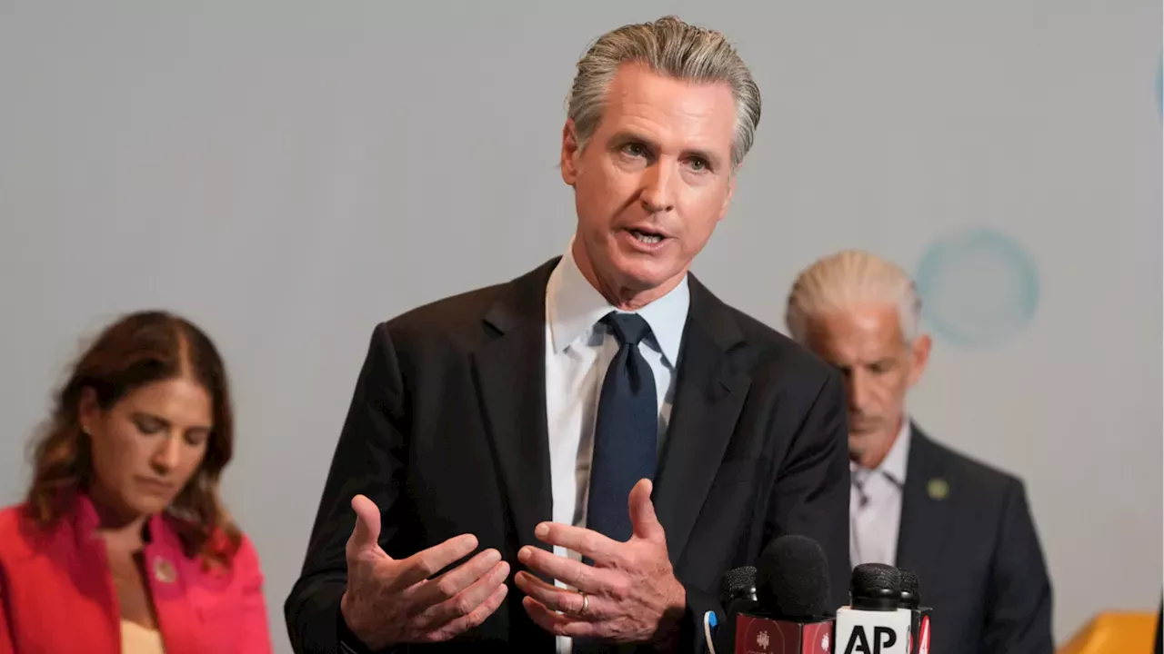 Newsom signs executive order to consider AI regulation, including proposal for 'kill switch'